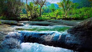Beautiful mountain stream for relaxation, Water sounds for sleeping, Mountain waterfall 10 hours