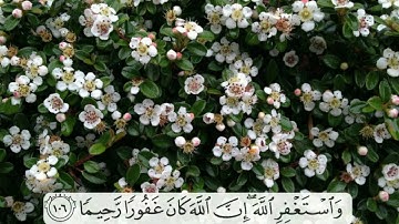 ﴿و استغفر الله إن الله كان غفورًا رحيمًا} آيات من سورة النساء • ياسر الدوسري| Quran - Surat AN-NIS'A