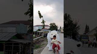 Noval Sepedaan Dijalan Sambil Jinakin Can Macanan