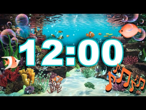 12 Minute Timer