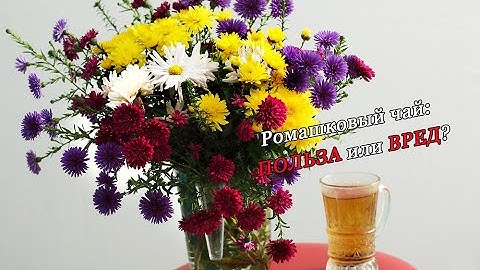 Ромашковый чай: Польза или вред? #ЧайАптечнойРомашки #ЛечебныеСвойстваРомашки