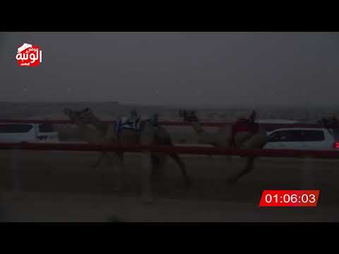 الشوط 1 الشاهينيه ل أحمد عبدالله علي جمعه الرميثي 2 15 شارة الصندوق 2024 07 21 فطامين السمحه