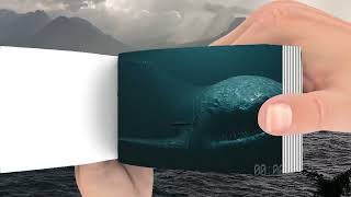 The Bloop Vs Blue Whale 2022 - Flipbook