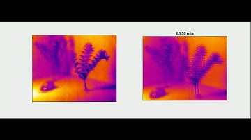 Integral 3D imaging and super-resolution