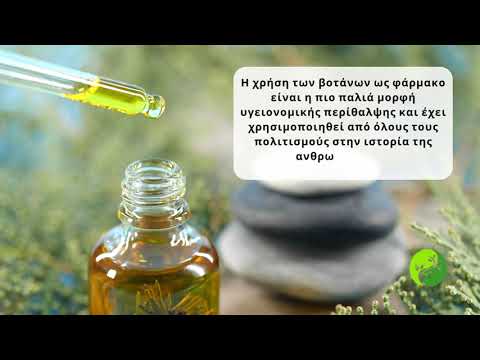 Βοτανοθεραπεία - Φυτοθεραπεία