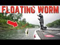 Shallow water smashing on a floating worm