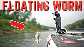 Shallow Water SMASHING On A FLOATING WORM