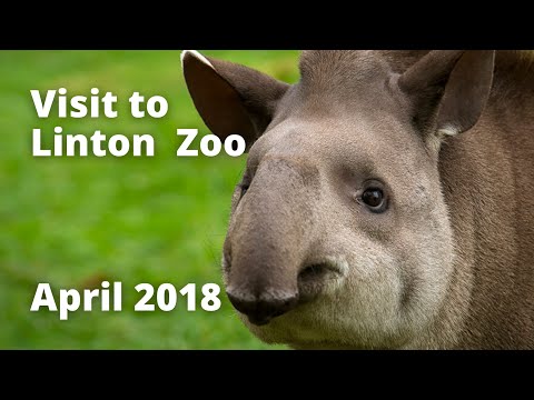 Our day out at Linton Zoo - April 2018