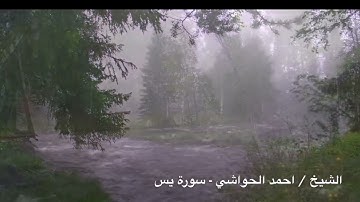 الشيخ / احمد الحواشي - سورة يس