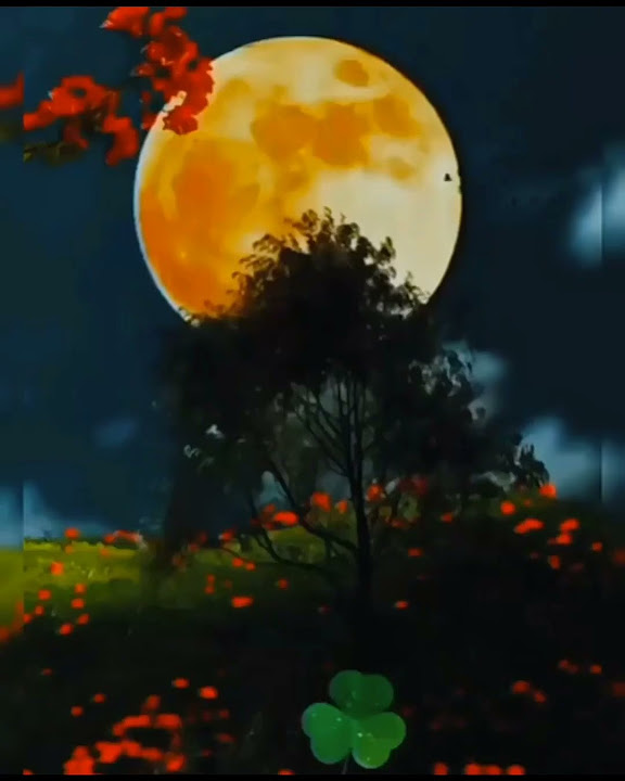 Good night songs youtube