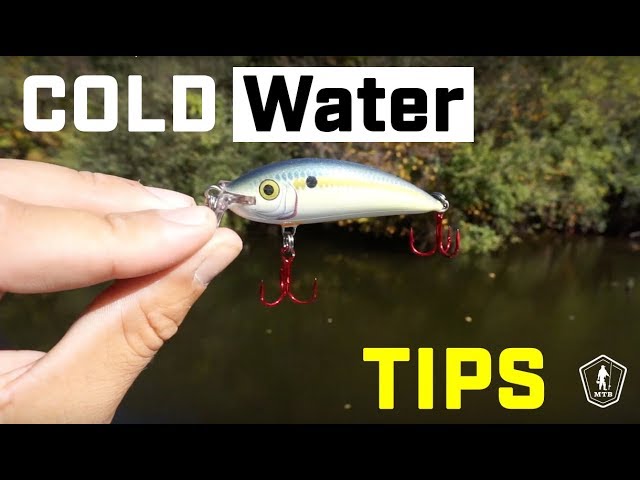 Cold Water Bass Fishing Tips with Ben Milliken! 