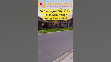 Vì Sao Người Việt Ở Úc Thích Làm Nông? Lương Bao Nhiêu?