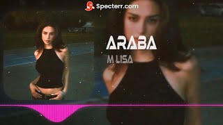 M Lisa - Arabanı Sür Soğuk Aralıkta (DJ Metin Production Remix)#tiktok2024|TikTok’ta Aranan Remix🎧