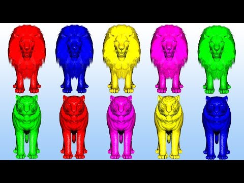 Wild Animals Finger Family Song For Kids Nursery Rhymes Children Toddlers Lion Tiger NASH TOON Tv