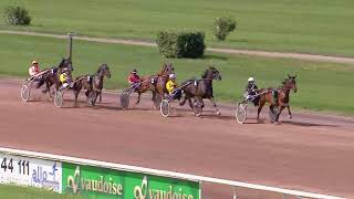 Vidéo de la course PMU PRIX DE TONGRES