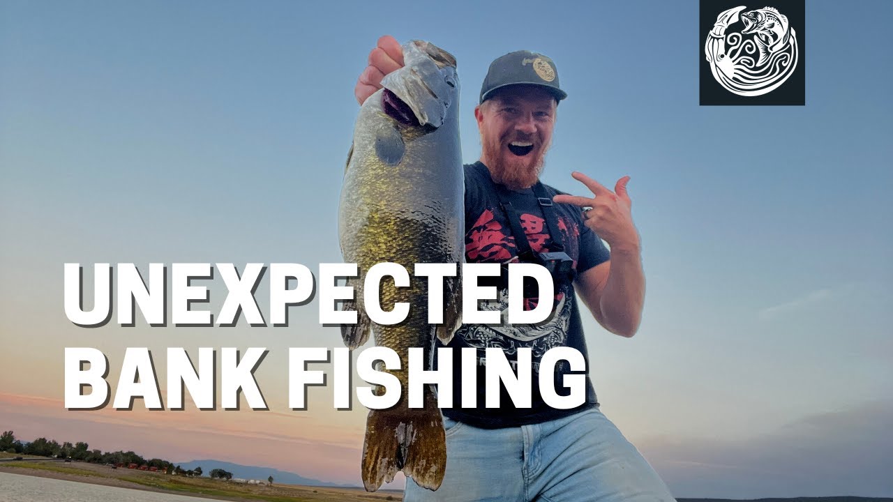UNEXPECTED Catch Bank Bass Fishing, Minersville Reservoir Utah