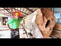 ＃18【製材】神護木（カゴノキ）最高級 !!! ☆☆☆金欄杢☆☆☆　Acrinodaphne lancifolia Sawing