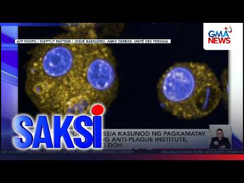 Sitwasyon sa Russia kasunod ng pagkamatay ng lab worker ng anti-plague institute... | Saksi