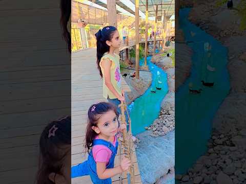 تالا وديالا على أكبر نهر مي و بط تالاوديالا