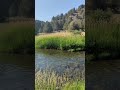 Take a break. #flyfishing #fishing #oregon #riverrat #hikeoregon #hikemore #overland #explore #dirt