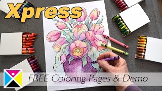 Using Crayons Like a Pro! How To Use Crayons Like A Pro 笨ｨ