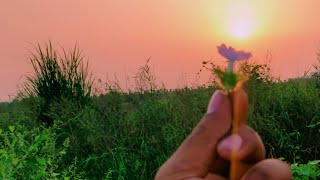 Rajasthan Life In 2Days Travel By Train Chetan Desi Vlog