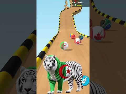 قطر والعالم  الجزائر لعبة تحدي سباق   