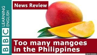 Mango surplus in the Philippines: BBC News Review screenshot 3