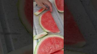 ✨✨ CUTTING WATERMELON #fruit #viral #fruitcutting #watermelon