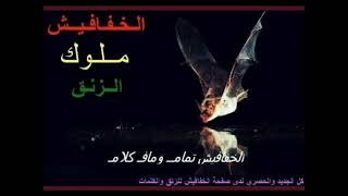 زكريات   أنور هندسكو   الخوه بقى مصلح سمعها