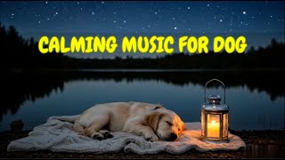 Separation Anxiety Sleep Therapy for Dogs Alone 🐕🎵 | 12 HOURS of Soothing Night Melodies for Pets
