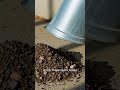 Wind vs Wear. what granules really mean #shorts
