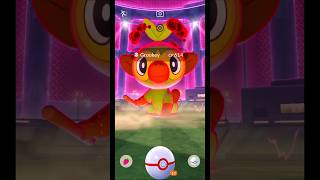 Dynamax Grookey CP 614 Catching &amp; Pure Gameplay in Pokémon GO! 🍃 #Shorts