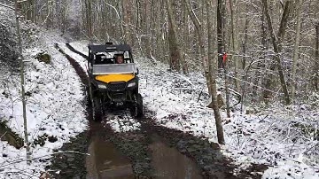 KENTUCKY FREEZE-THAW STARTS THE MAPLE SAP FLOWING