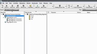 Understanding Branching in Surround SCM