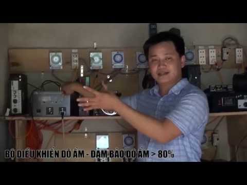 Video: Phi Yến Cao Quý. Mọc Từ Hạt