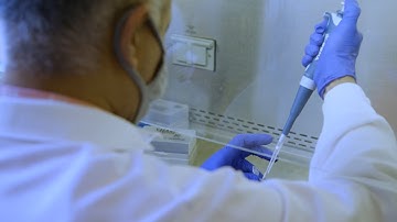 Inside One of the UVA Labs Studying COVID-19