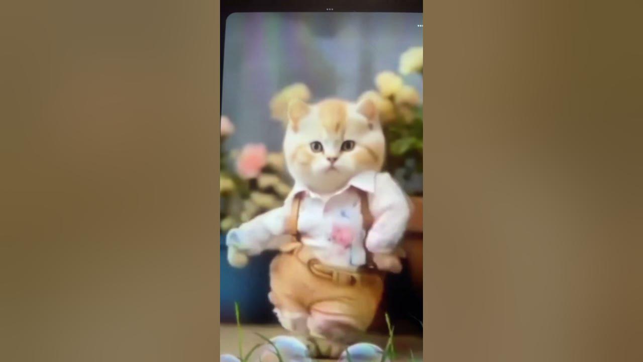 #ukulele #music #fingerstyle cats is playing on ukulele. #Cats.  #ukulele #music #fingerstyle cats is playing on ukulele. #Cats. 