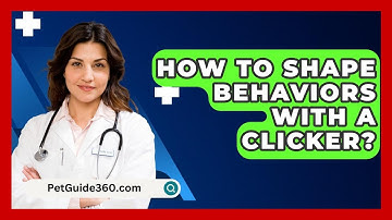 How To Shape Behaviors With A Clicker? - PetGuide360.com