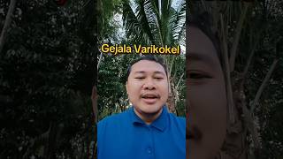 Gejala Varikokel & Cara Mengatasinya