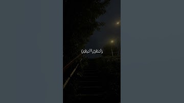 #ماهر_المعيقلي تلاوة مؤثرة بصوت الشيخ ماهر المعيقلي ؟#ماهر_المعيقلي
