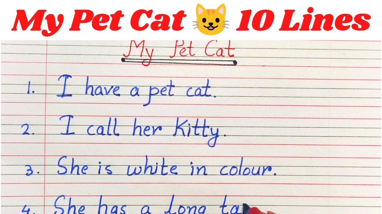 My Pet Cat 10 Lines / 10 Lines on My Pet Cat 🐈 - YouTube