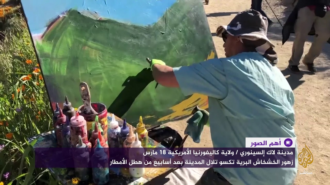 زهور الخشخاش البرية تكسو تلال مدينة لاك إلسينوري بعد أسابيع من هطول الأمطار