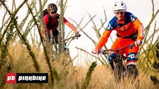Local Flavors: The Complete Guide to Mountain Biking in Tucson, Arizona