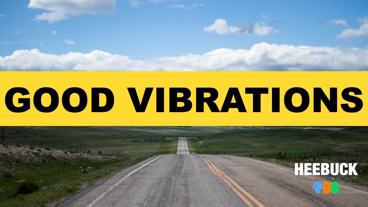 HEEBUCK - Episode 1 | Good Vibrations | Polish Brothers Channel