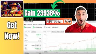 Gold Rush Pro MT4 EA V3.1 – Elite Gold Trading Automation