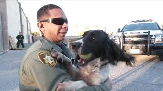 Virtual First Tuesday Feb 2022 LVMPD K9 Behind the Scenes