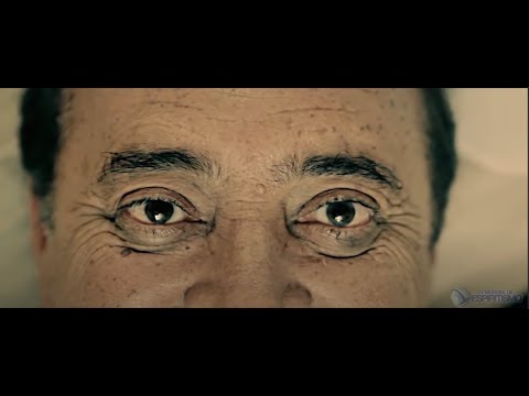 Развоплощение Димаса. По мотивам книги Шико Шавьера