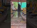 ॐ नमः शिवाय 🙏 | har har mahadev | Shivpuri Dham kota | #trending #bholenath #shiv #shorts
