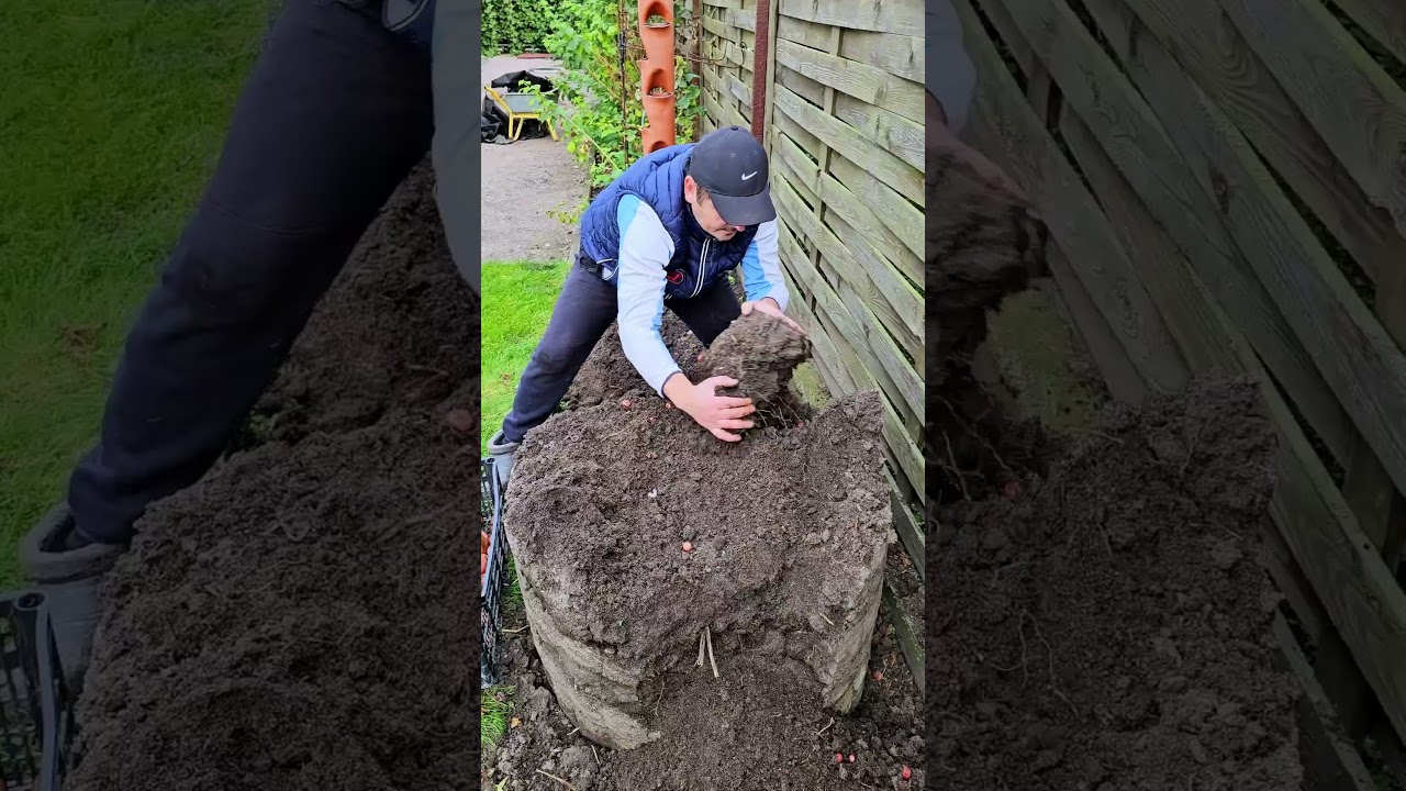 The experiment is over